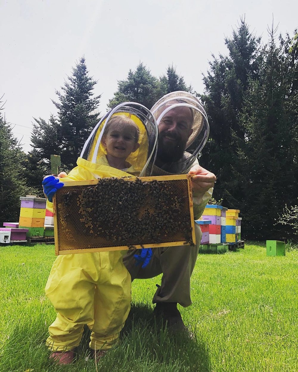 A young beekeeper holding a frame of bees