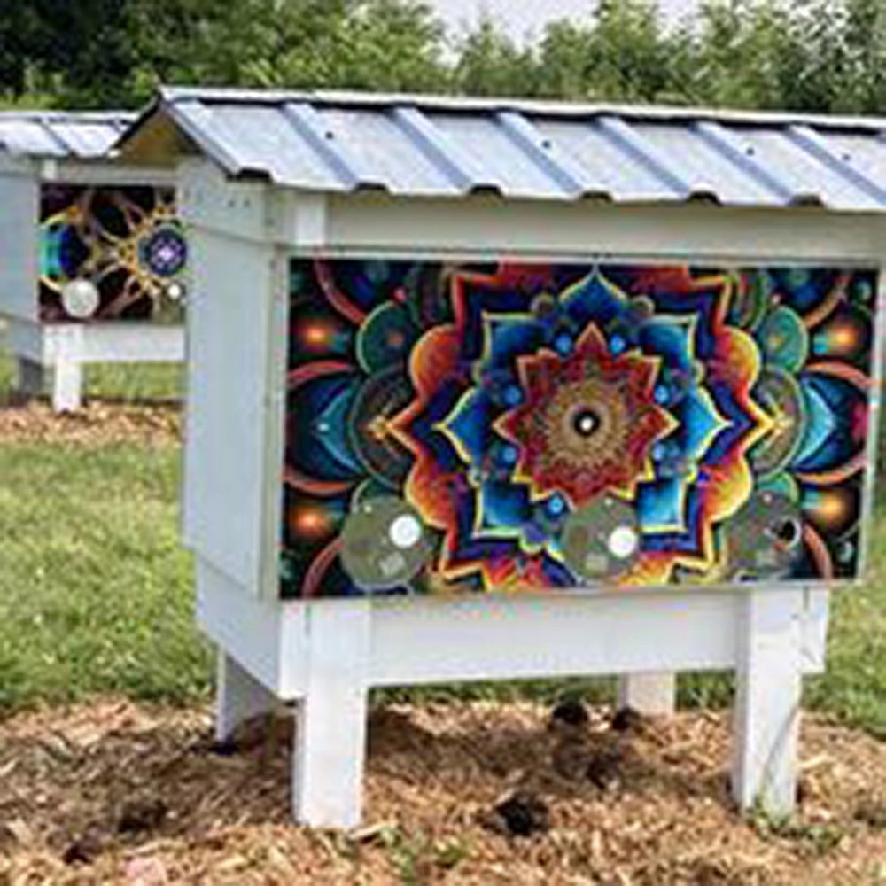 Painted beehives on the Yemaya farm
