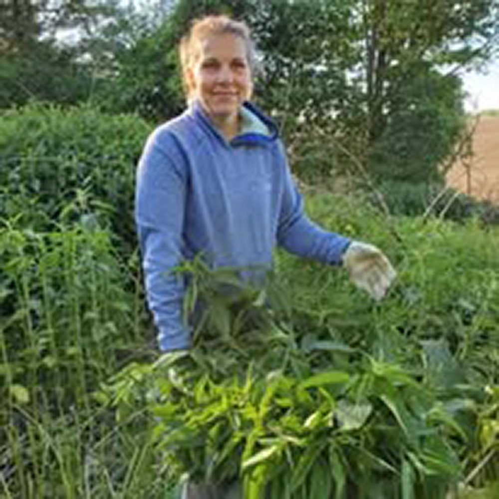 Sandra harvesting greens in the garden